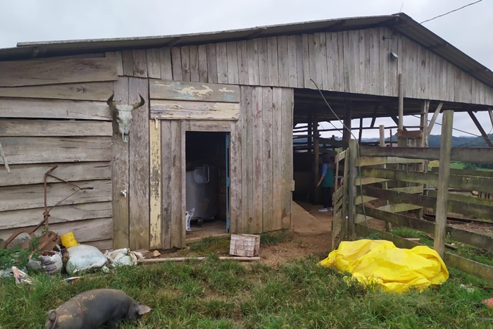 Polícia fecha abatedouro clandestino de cavalos e prende três pessoas em  Guapimirim, Guapimirim