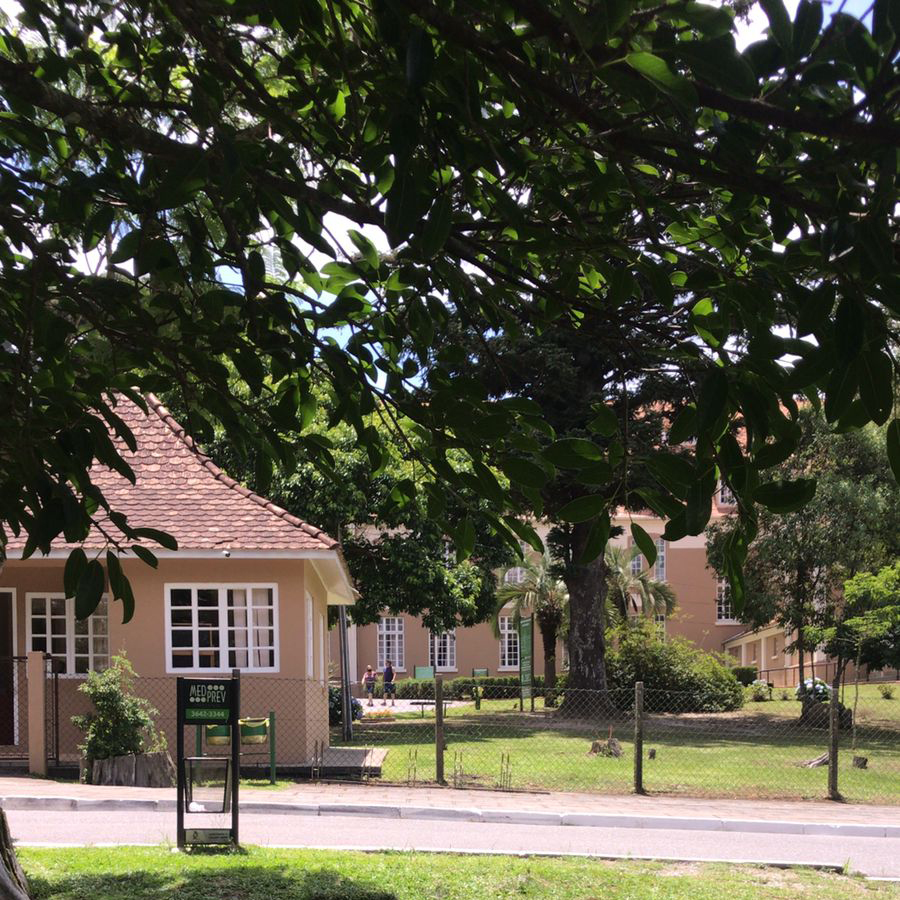 Foto da Semana 04