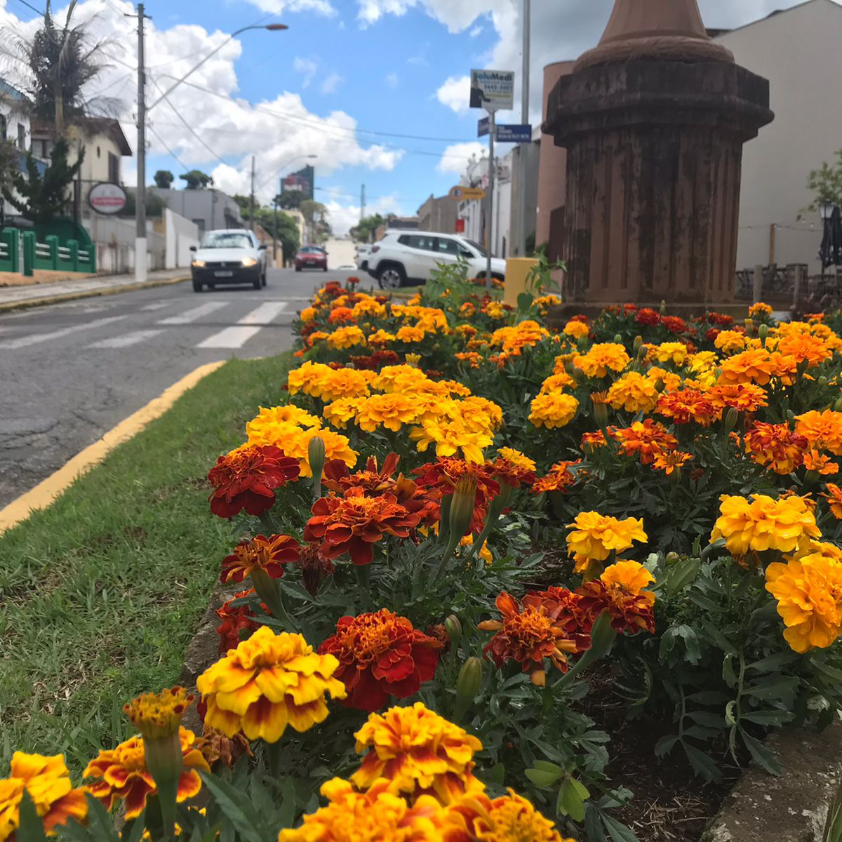 Foto da Semana 01
