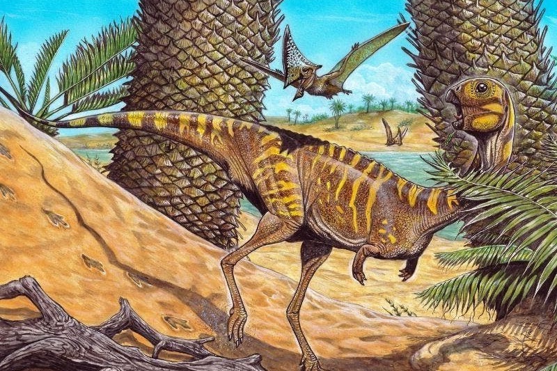 Dentes de Dinossauro, Dino Notícias