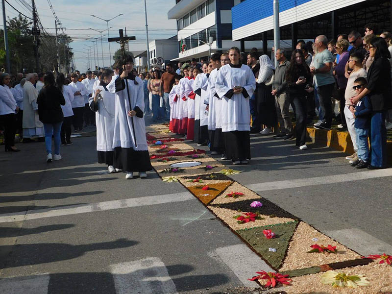 Aparecida Mafra 1